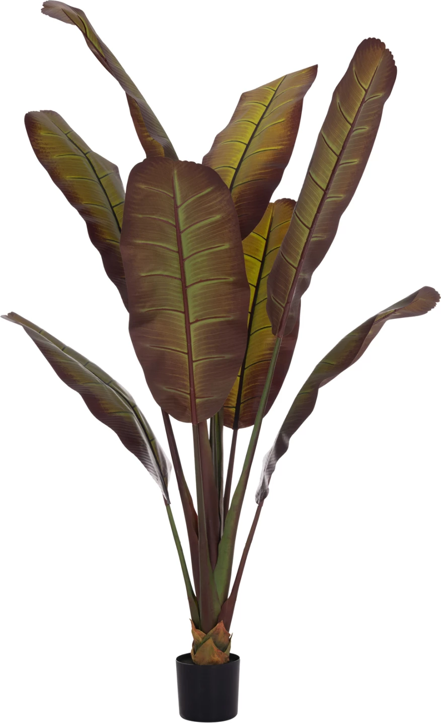 Bimë sintetike dekorative, banane japoneze, vazo, 85x75x225cm