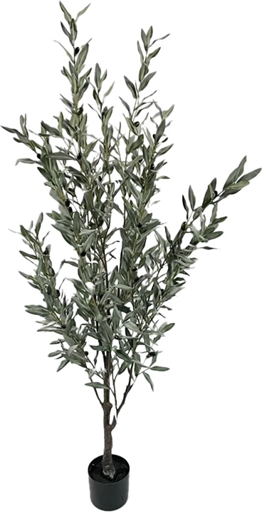 Bimë dekorative ulliri në vazo, ngjyrë e gjelbër, 160cm