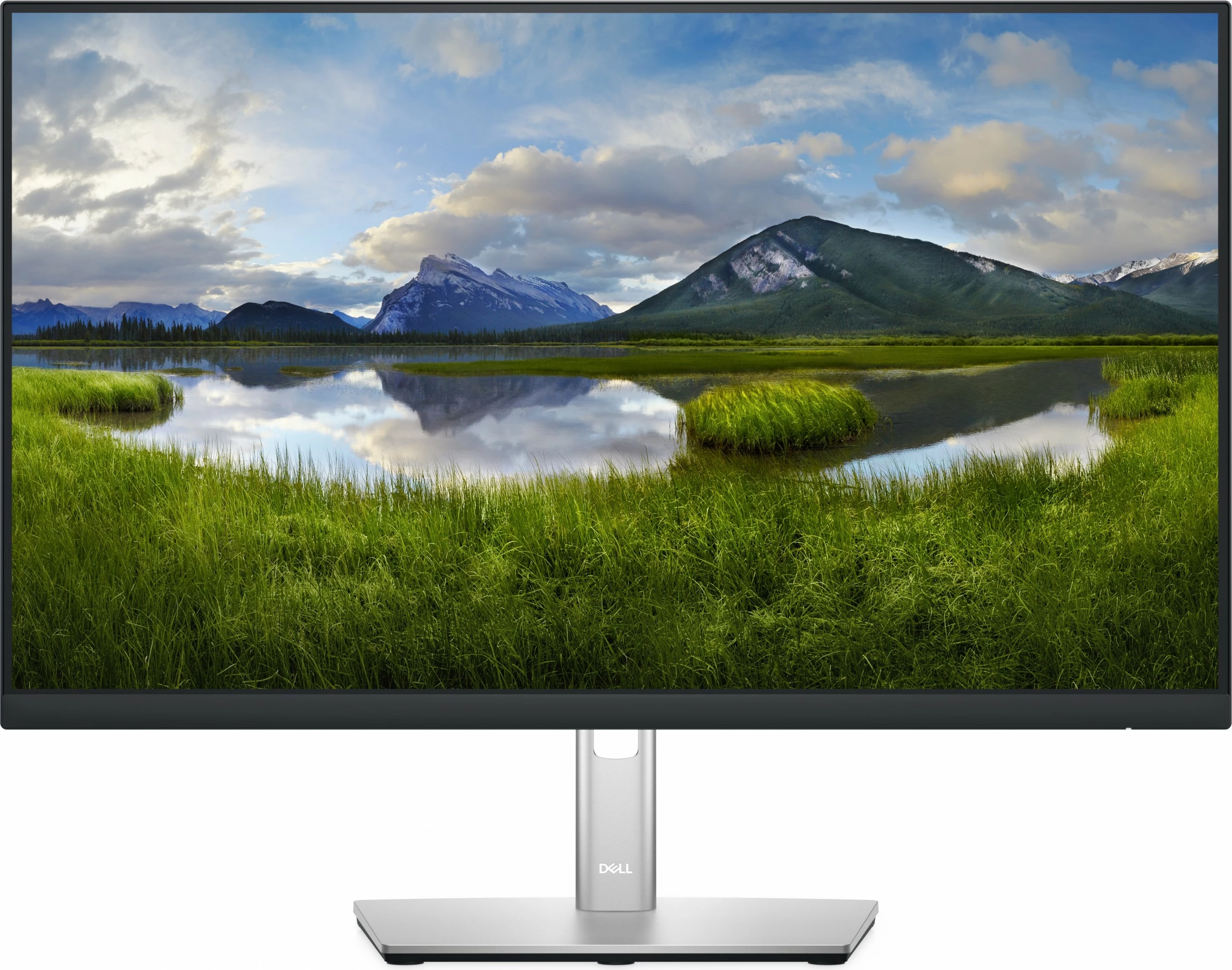 Monitor DELL P Series 24 P2422H, 23.8", Full HD, LCD, 8 ms, i zi