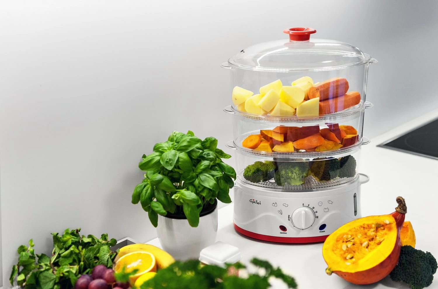 Enë Me Avull GALLET GALCUV962