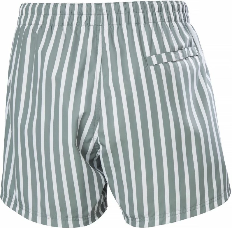 Shorce për meshkuj Helly Hansen, gri