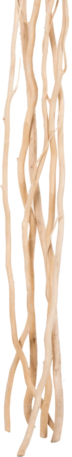 Buqetë dekorative 5 copë degë shelgu të thata FH7966 krem 170Hcm