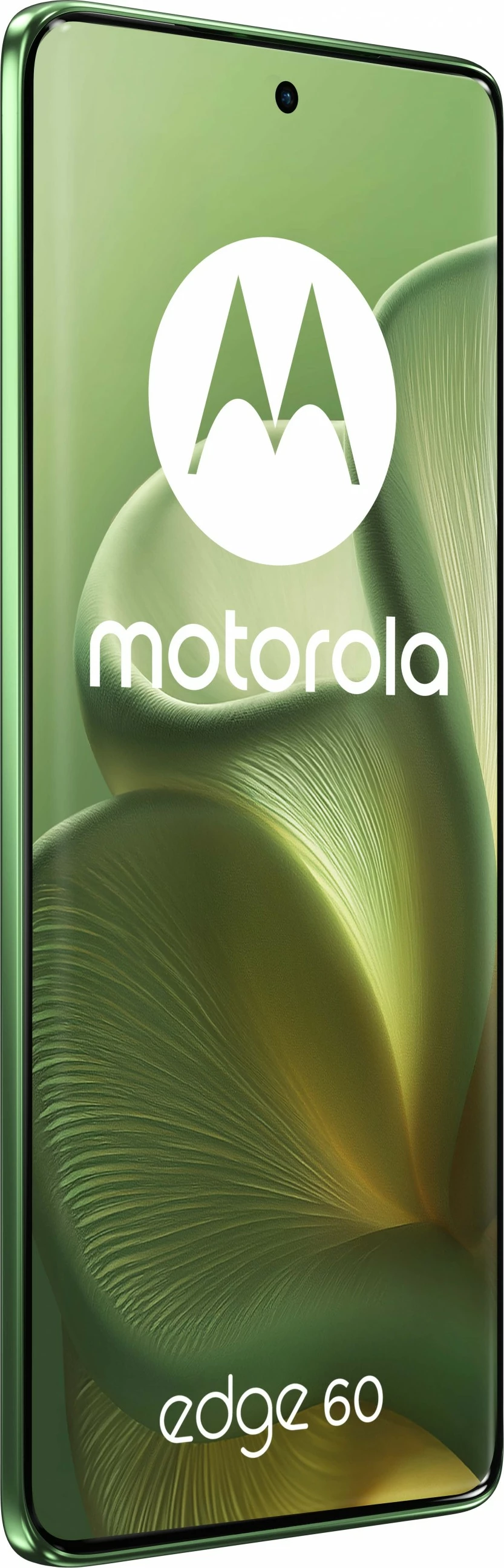 Celular Motorola Edge 60 5G 256GB gjelbër