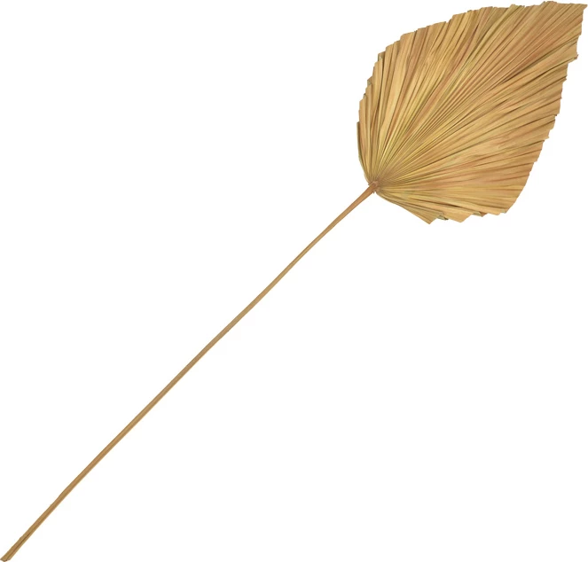 Gjethe dekorative Walsy, ngjyrë natyrale, 135cm