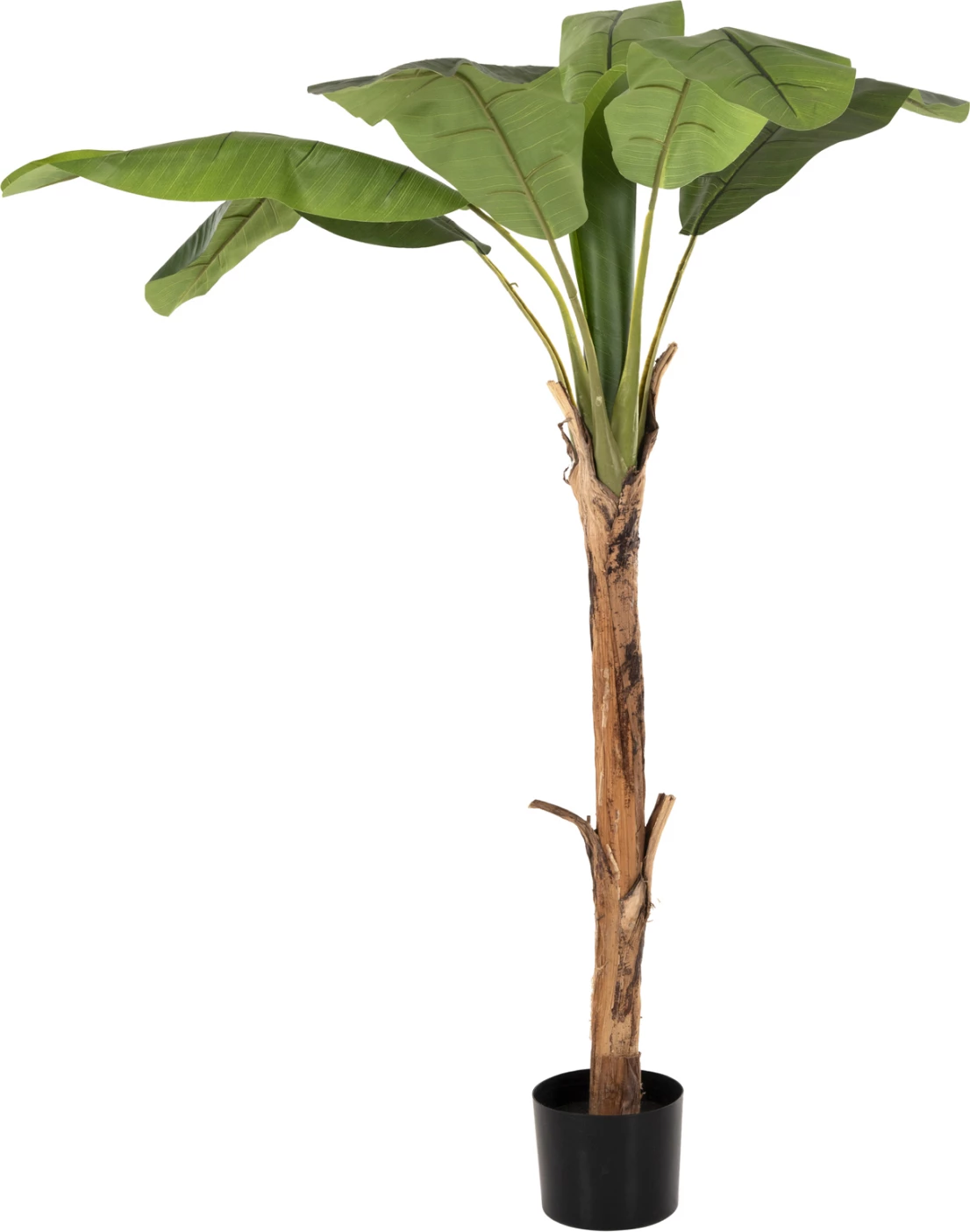 Bimë sintetike dekorative, pemë bananeje, FH7979, 180H cm