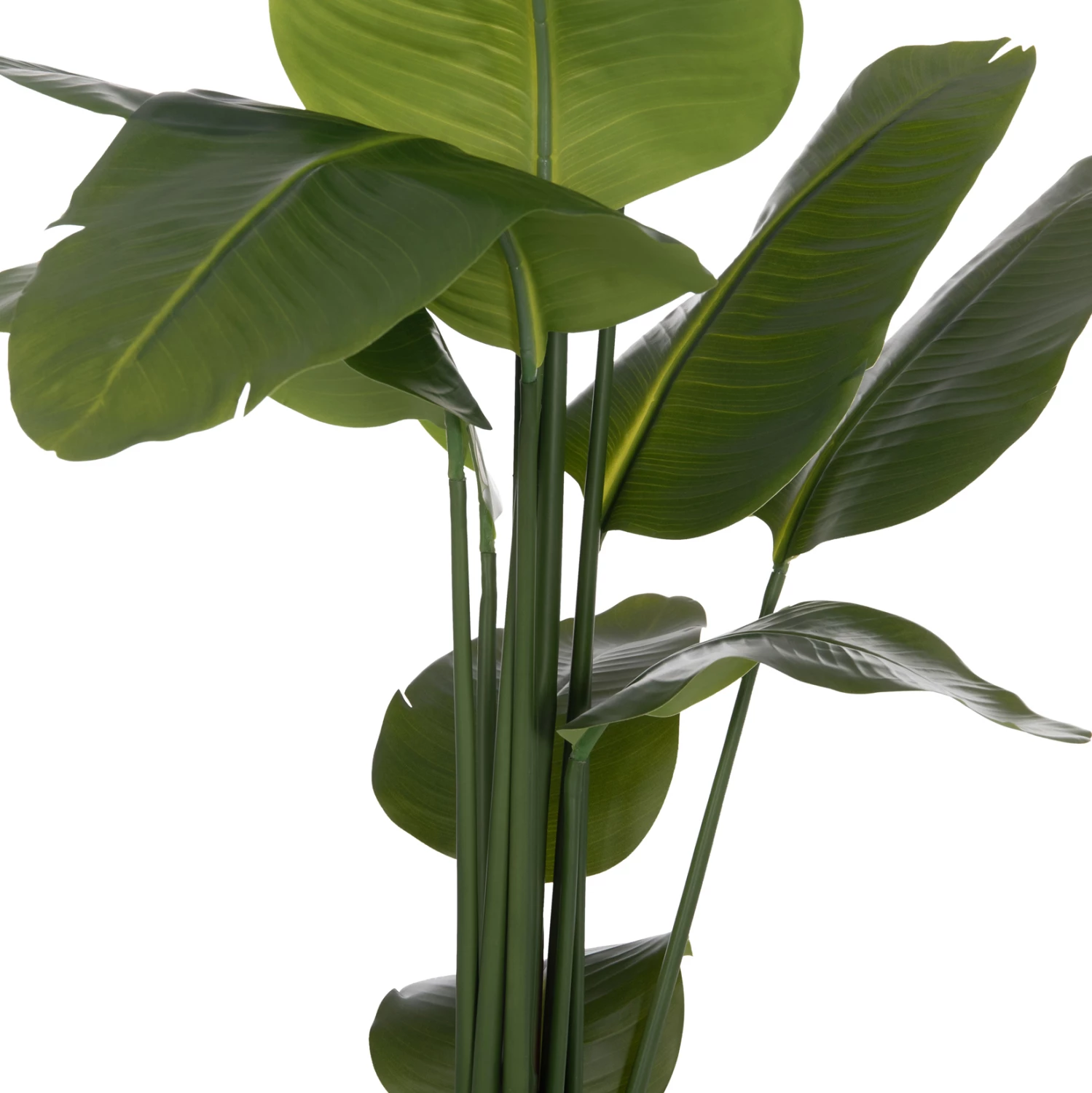 Bimë sintetike dekorative në vazo, Strelitzia, FH4739, Φ18x172cm