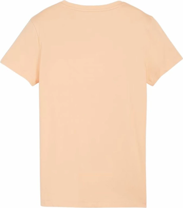 Maicë Puma femra, portokalli