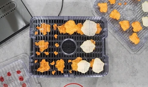 Tharëse ushqimi CASO DH 450 (MPN 3165) 370–450 W, 5 nivele, 30–70°C, timer 0.5–48 h, zi/argjendtë