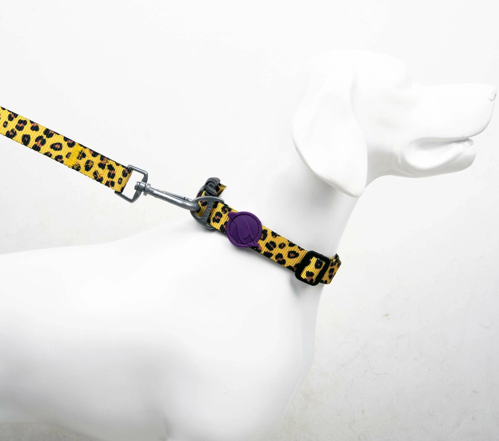 Qafore për qen, leopard, Paws & Whiskers