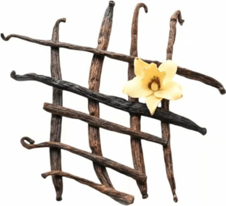 Hydro Whey 800g Vanille