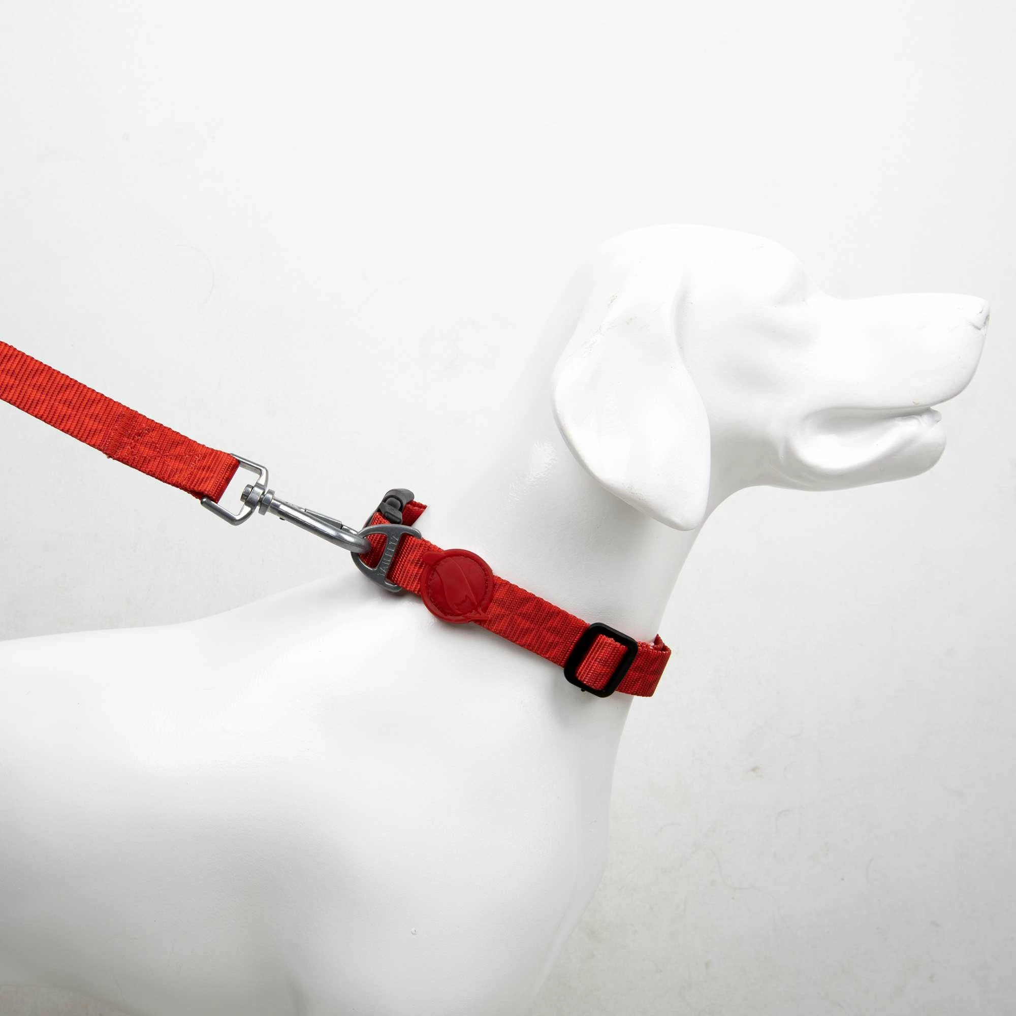 Qafore për qen, Paws & Whiskers, Prism, multingjyrëshe