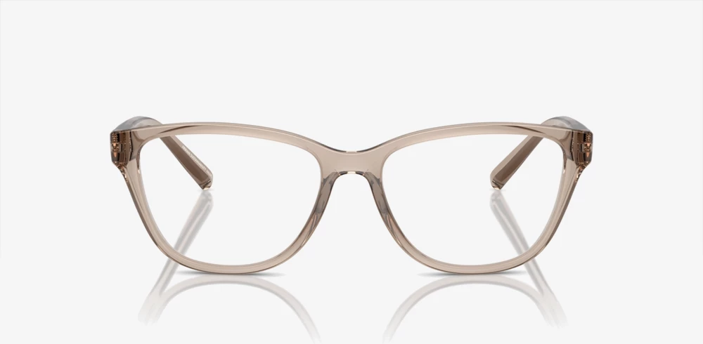 Korniza optike Armani Exchange AX3111U 8344 54