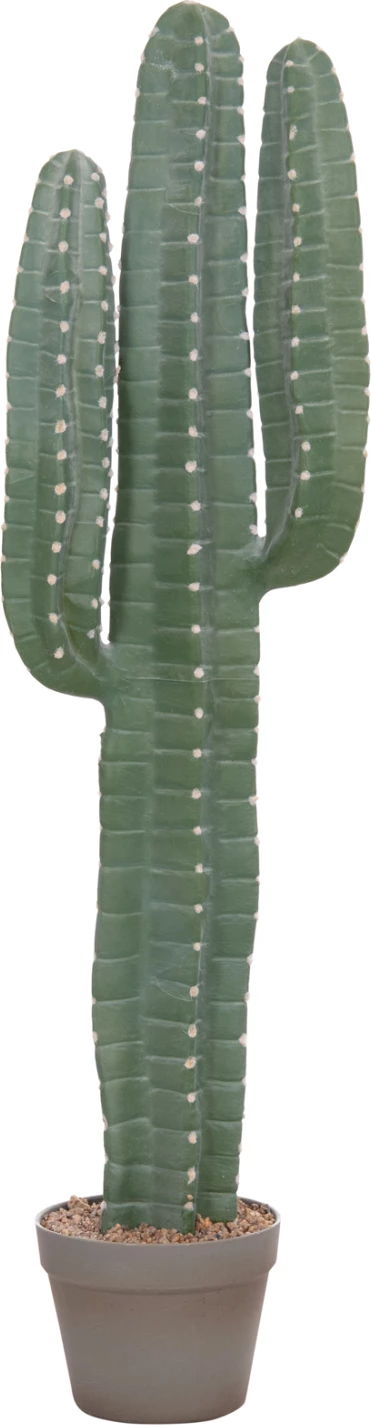 Bimë dekorative sintetike në vazo, lloj kaktusi, FH4742, 17.5x26x103cm