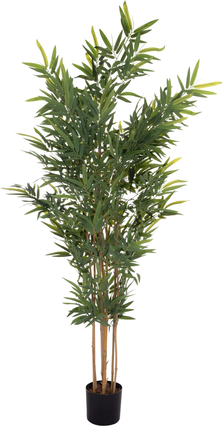 Bimë dekorative sintetike në vazo, bambu, FH4737, 20x95x200cm