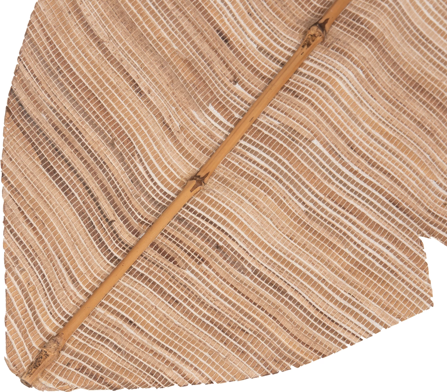 Gjethe dekorative, ngjyrë natyrale, FH7873, 32x200x3 cm