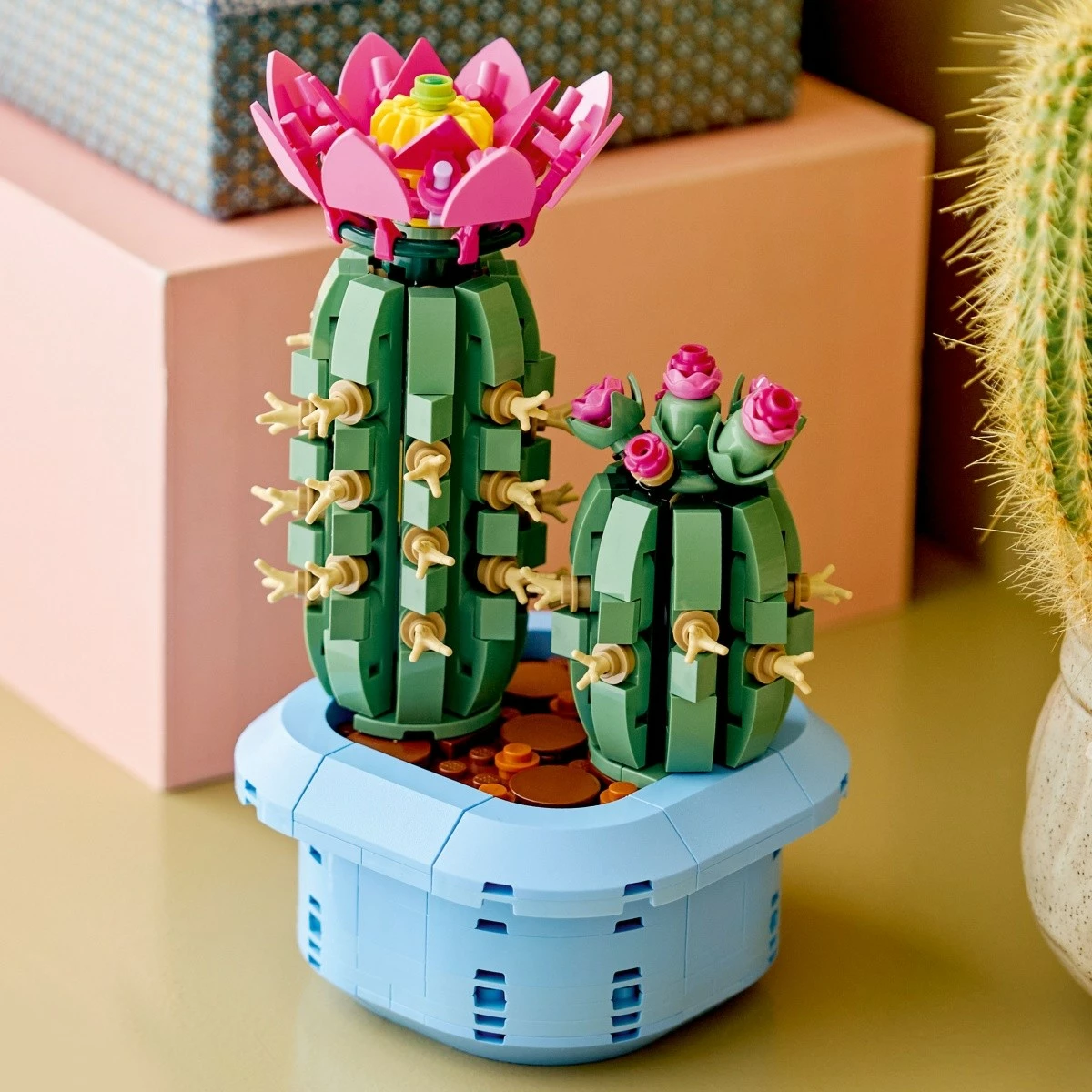Set kockash LEGO Botanicals Blooming Cactus 11509, 482 copë, 9+, kaltër pastel