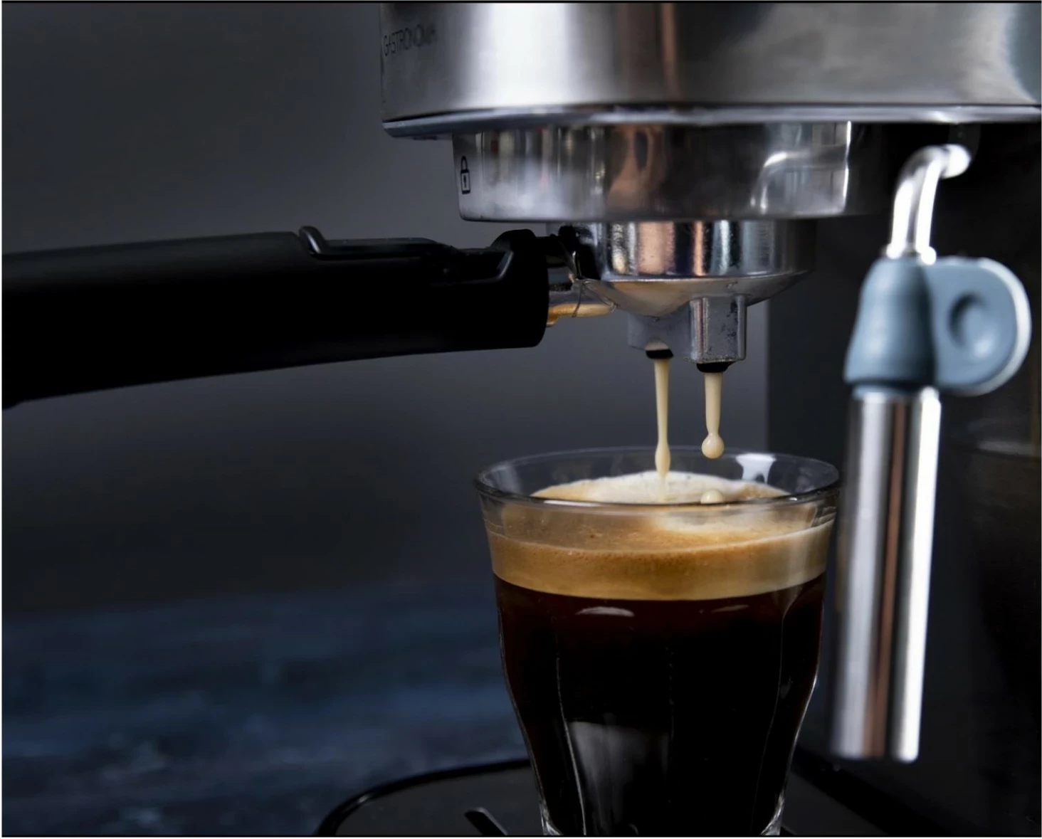 Aparat kafeje Gastronoma 18110001, presion piston, 1.1L, argjendtë