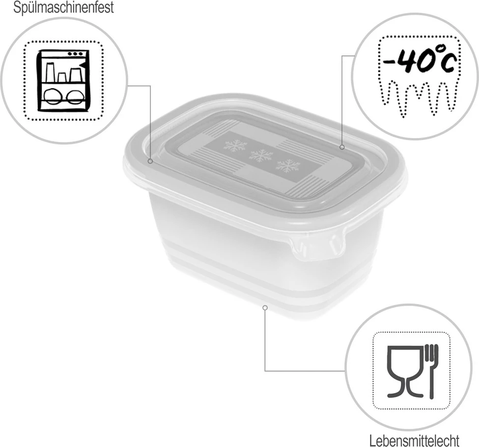 Enë për ngrirje Rotho Freeze, 6x250ml, Transparent