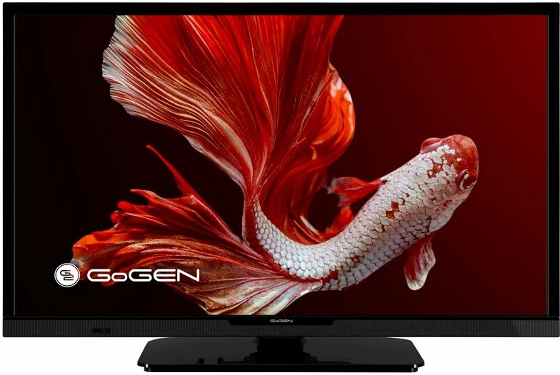 Televizor GOGEN GOGTVH24P452T