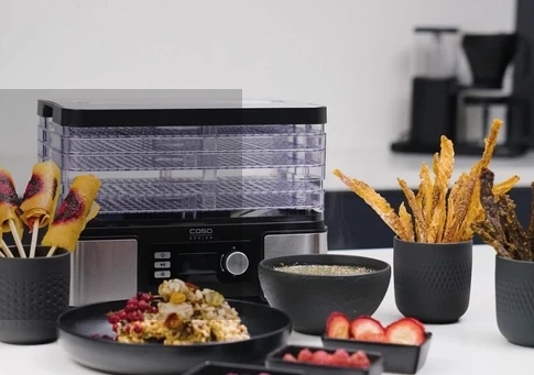 Tharëse ushqimi CASO DH 450 (MPN 3165) 370–450 W, 5 nivele, 30–70°C, timer 0.5–48 h, zi/argjendtë