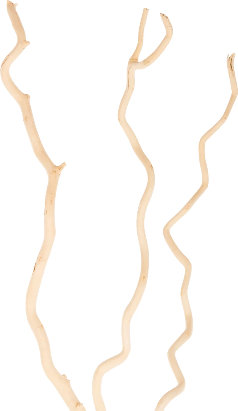 Buqetë dekorative, FH7967, 3 copë, degë të thara Morus Alba, ngjyrë krem, 180 cm