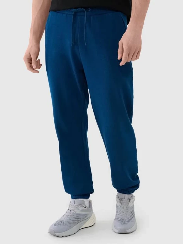 Pantallona sportive meshkuj 4F, blu