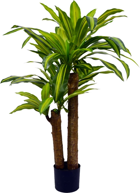Bimë dekorative Dracaena në vazo, ngjyrë e gjelbër, 110cm
